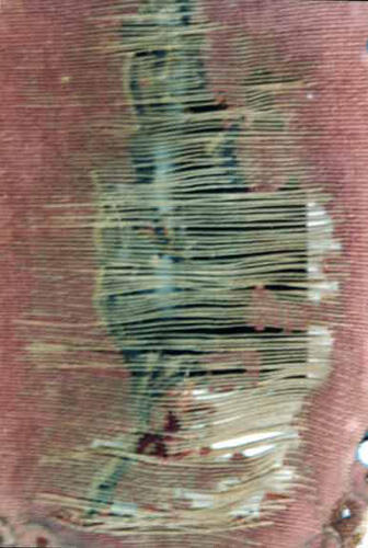A seventeenth Century Verdure tapestry that has been cleaned and